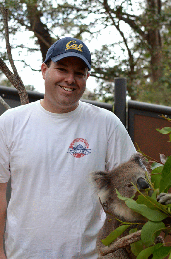 Koala at Taronga Zoo in Sydney by Natalie Parker